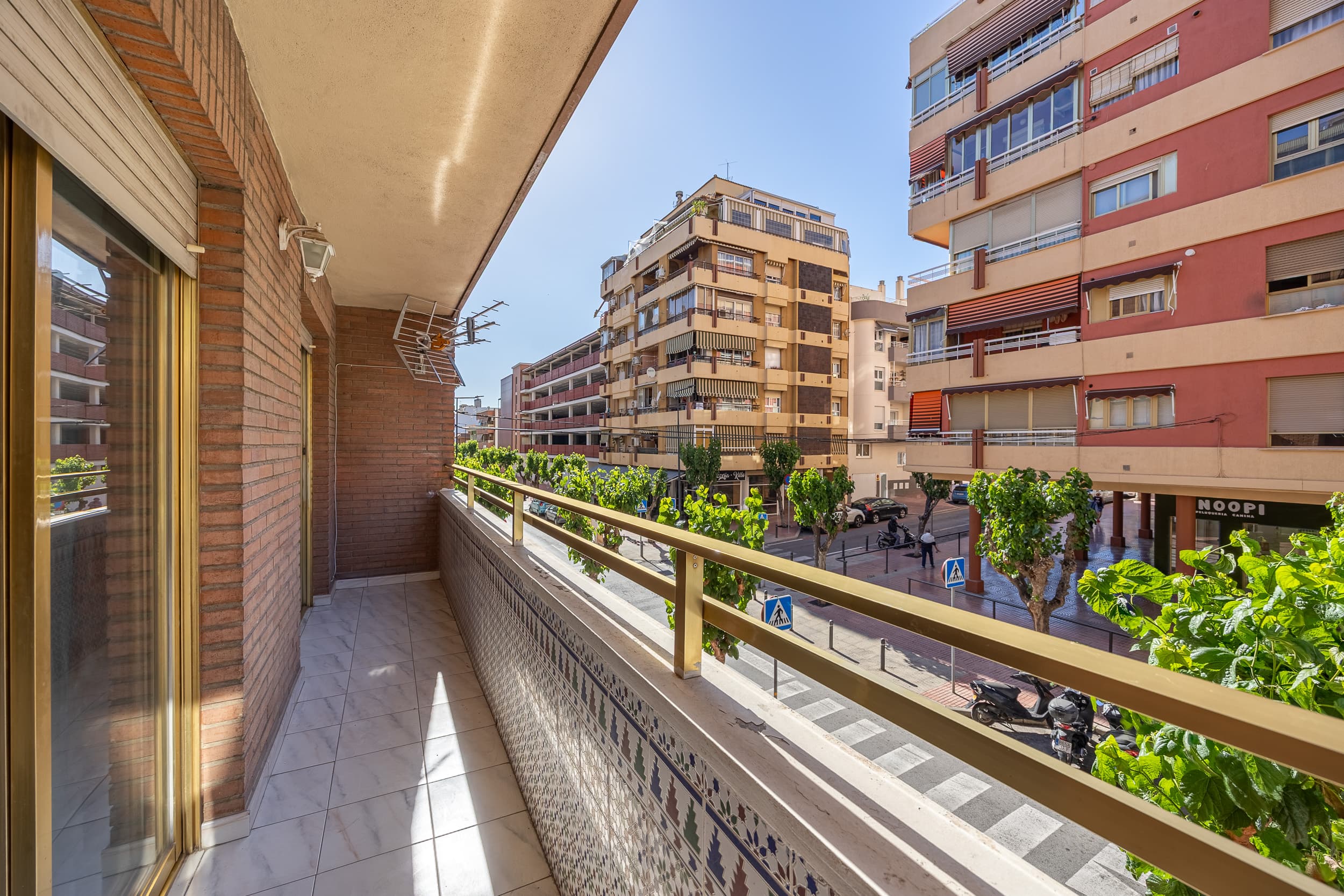 Imagen 18