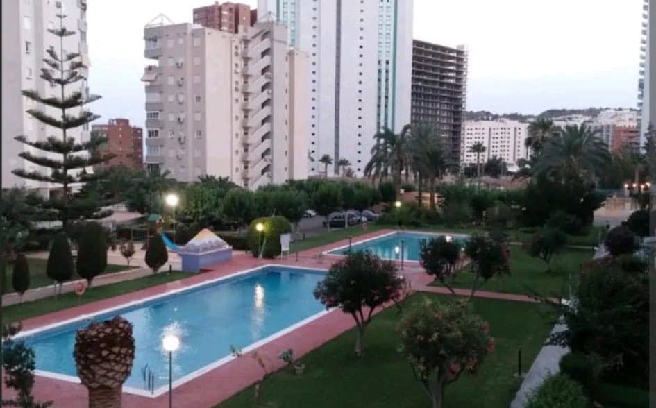 Imagen 4