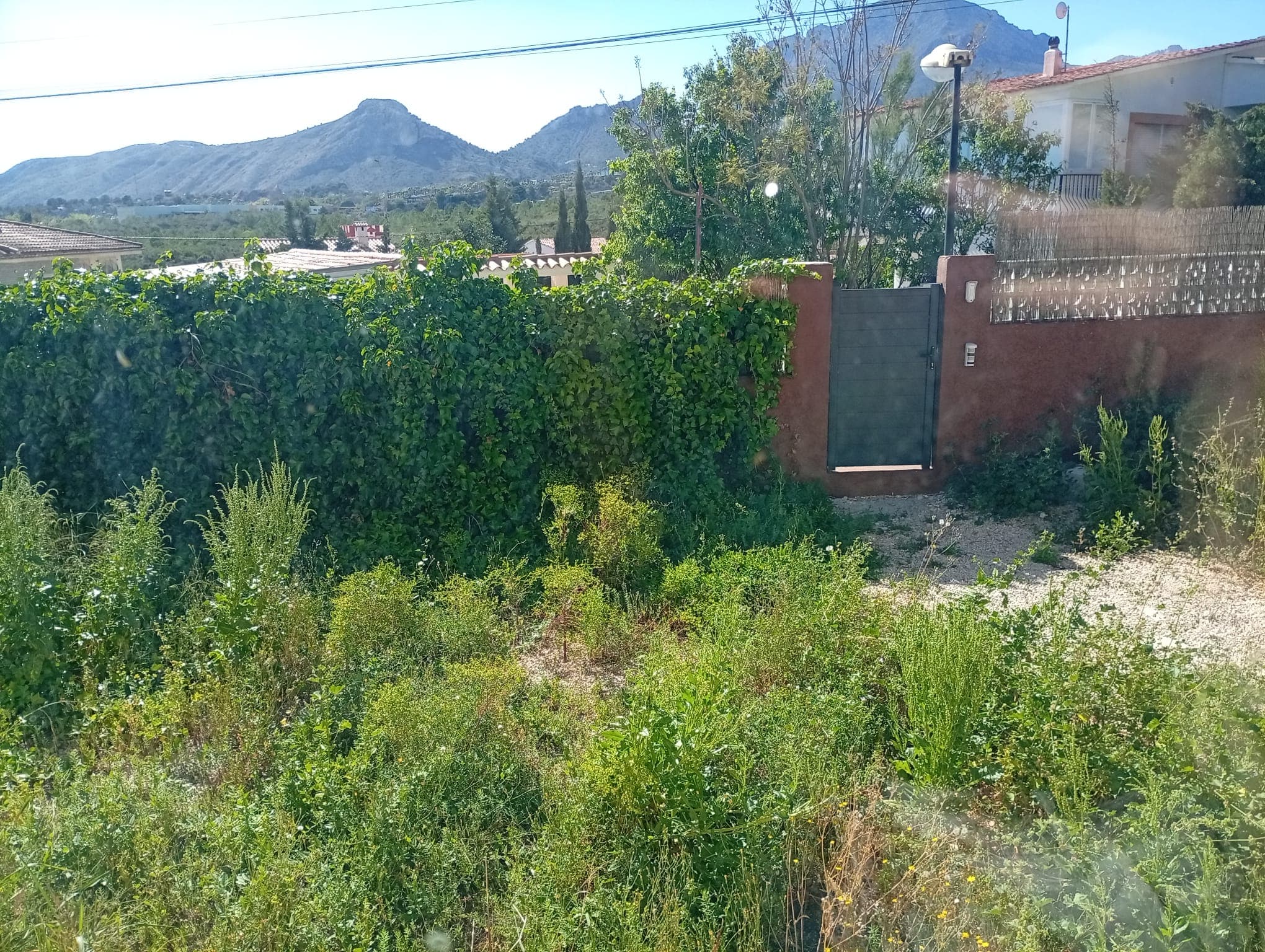 Imagen 6