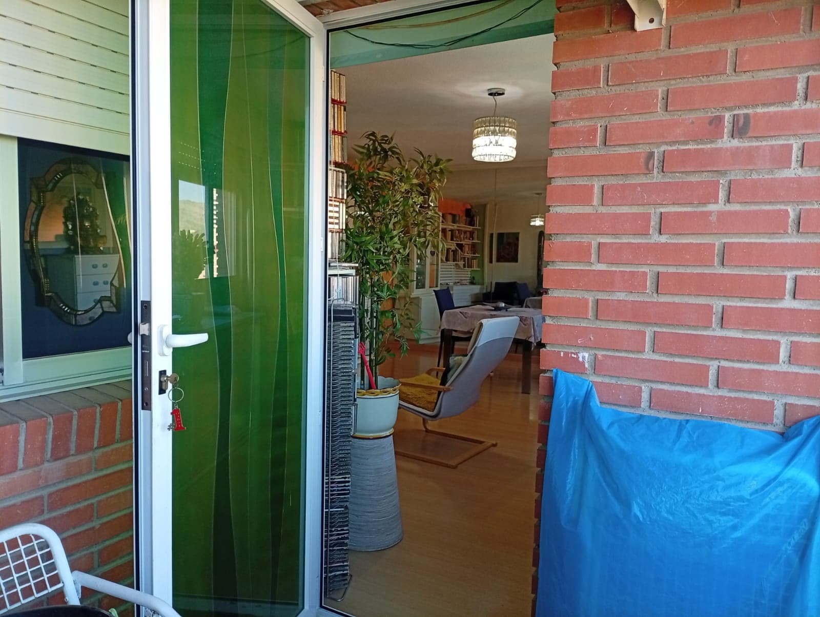 Imagen 8